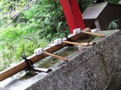 -井之头恩赐公园