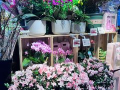 -盒马鲜生(双清路店)