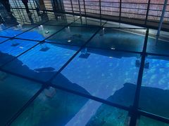 -上海长江河口科技馆