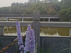 -深圳国际园林花卉博览园