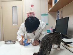 -安安宠医·臻爱宠物医院·宠保定点(营门口路分院)