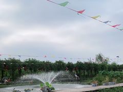 -同銮特种养殖场·龙虾垂钓