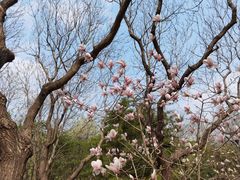 -大兴滨河森林公园