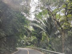 -海南热带雨林国家公园吊罗山景区