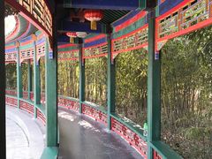 -武汉园博园(武汉自然博物馆)