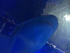 -台州海洋世界