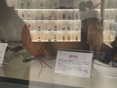 -广东中医药博物馆