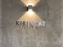 -十年猫舍·猫咪专门店(普陀店)