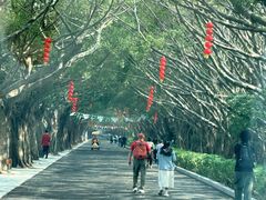 -大湾区中央湿地公园
