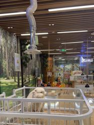 -小象动悟公园(龙湖亦庄天街店)