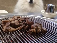 -喜来稀肉(虹泉路店)