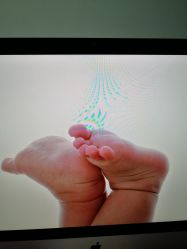 -毛毛虫儿童摄影馆