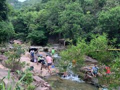 -广州白江湖森林公园