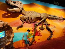 -北京科学中心儿童乐园