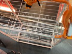 -探鱼·鲜青椒爽麻烤鱼(广州花都来又来店)