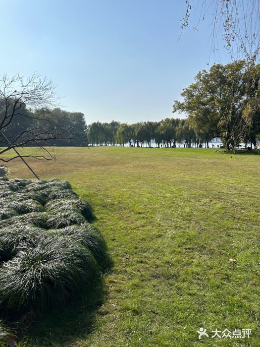 柳浪闻莺公园图片