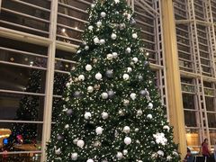 -罗纳德·里根华盛顿国家机场