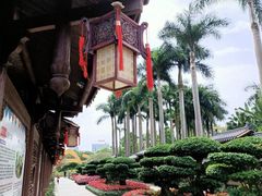 -金花茶公园