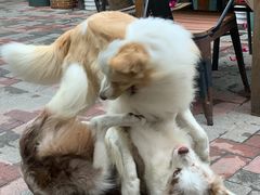 -豆舞咖啡(民乐路店)