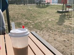 -爪吧宠物乐园·宠物泳池(温榆河示范区店)