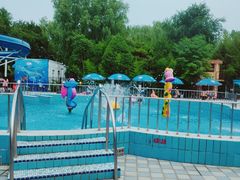 -青年湖公园水上世界