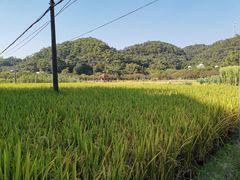 -红山村