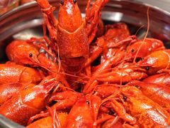 -龙巢盱眙龙虾·牛蛙·烧烤宵夜(八卦岭店)