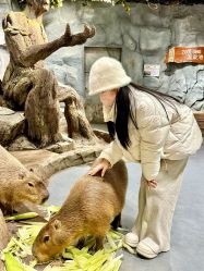 -Zoolung Zoolung动物主题公园(海信广场店)