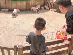 -前小桔亲子创意农场·草莓采摘·露营烧烤