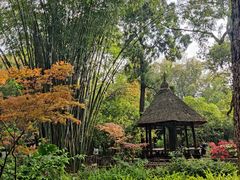 -成都杜甫草堂博物馆