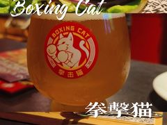 -Boxing Cat Brewery拳击猫精酿啤酒馆(永福店)