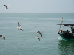 -硇洲岛旅游区