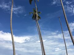 -吉隆坡国际机场