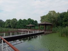 -同里国家湿地公园