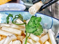 莲藕尖-园林美食城·本土农家菜(杨和镇店)