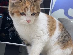 -宠颐生嘉德动物医院