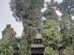 -报恩寺(平武县)