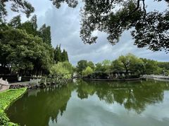 -月湖公园