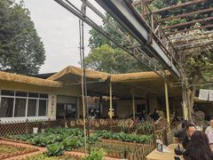 -苏记溪河鲢鱼庄(天府新区店)