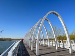 -大兴滨河森林公园