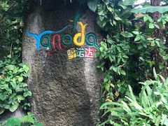 -呀诺达热带雨林