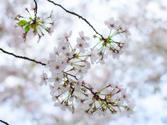 -龙美术馆(西岸馆)