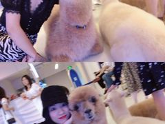 -Blue Concept Cafe&Farm·關於藍