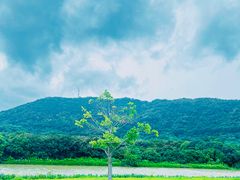 -艾米稻香小镇