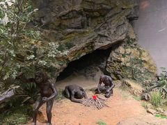 -北京周口店北京人遗址博物馆