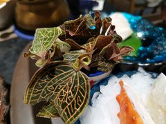 金线莲-海鼎荟海鲜姿造(仟禧汇店)