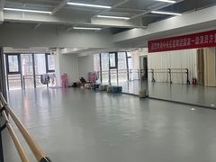 -中央芭蕾舞团·中芭艺蕾(酒仙桥明星校区)