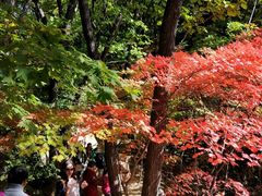 -丹东天桥沟景区