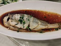 深海大黄鱼-江南村酒家