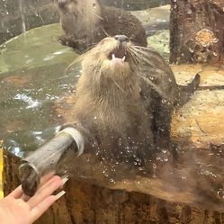 -Zoolung Zoolung动物主题公园(海信广场店)